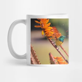 Collared Sunbird with Orange Flowers, South Africa Mug